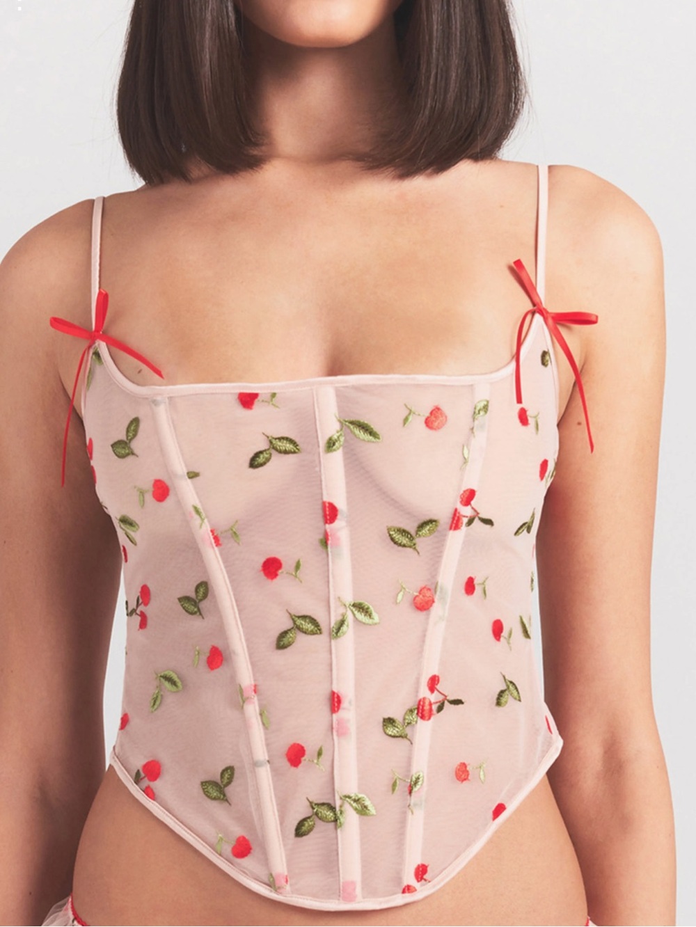 Skims Sheer Cherry Embroidered Tulle Corset NWT